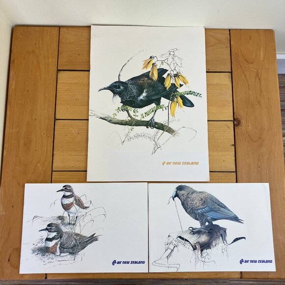 Air New Zealand Bird Artwork Airline Meal Menus Vintage 1970s Frameable Set of 3 - Picture 1 of 6